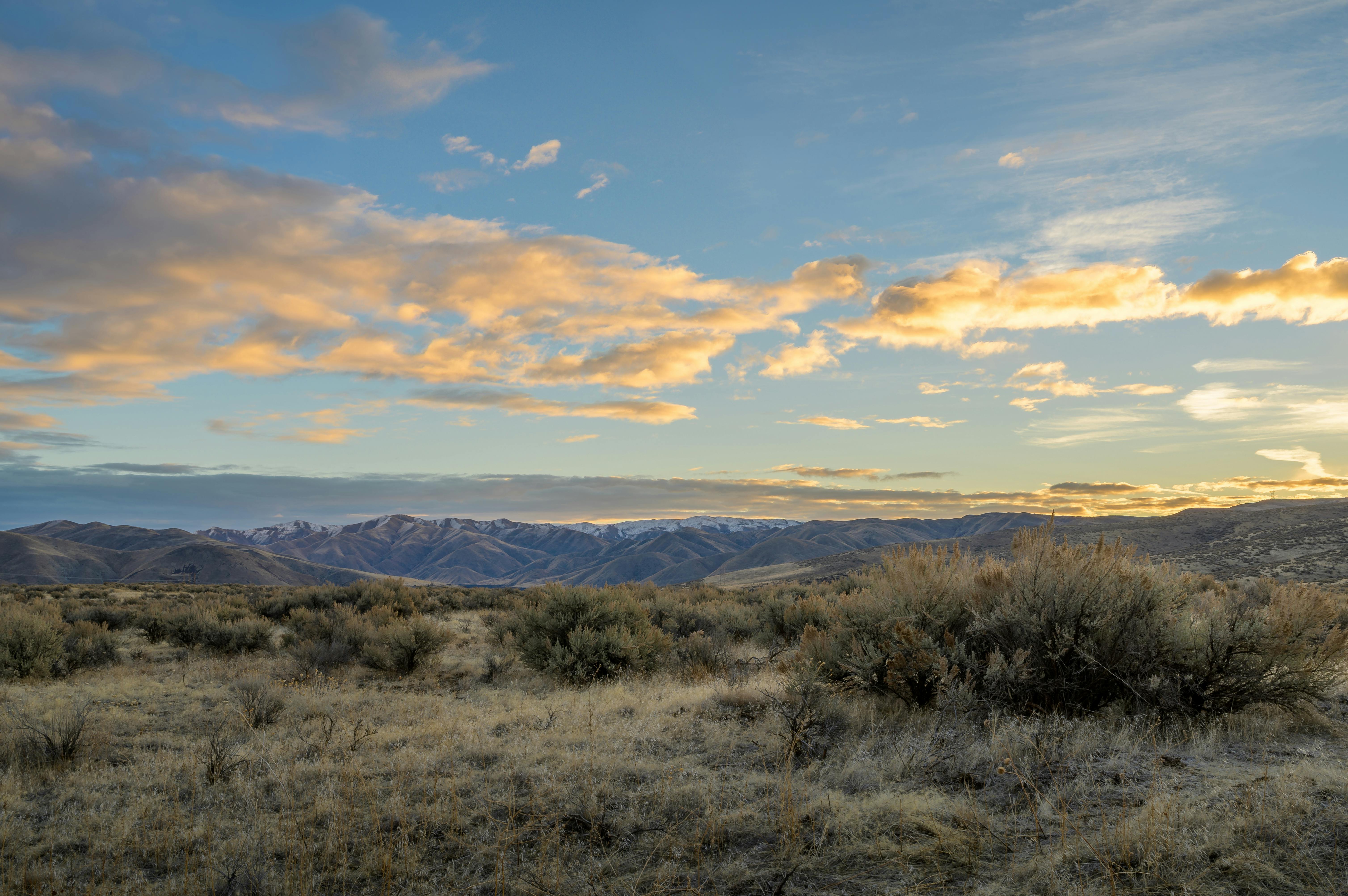 Hilly field with grassy terrain and narrow river · Free Stock Photo