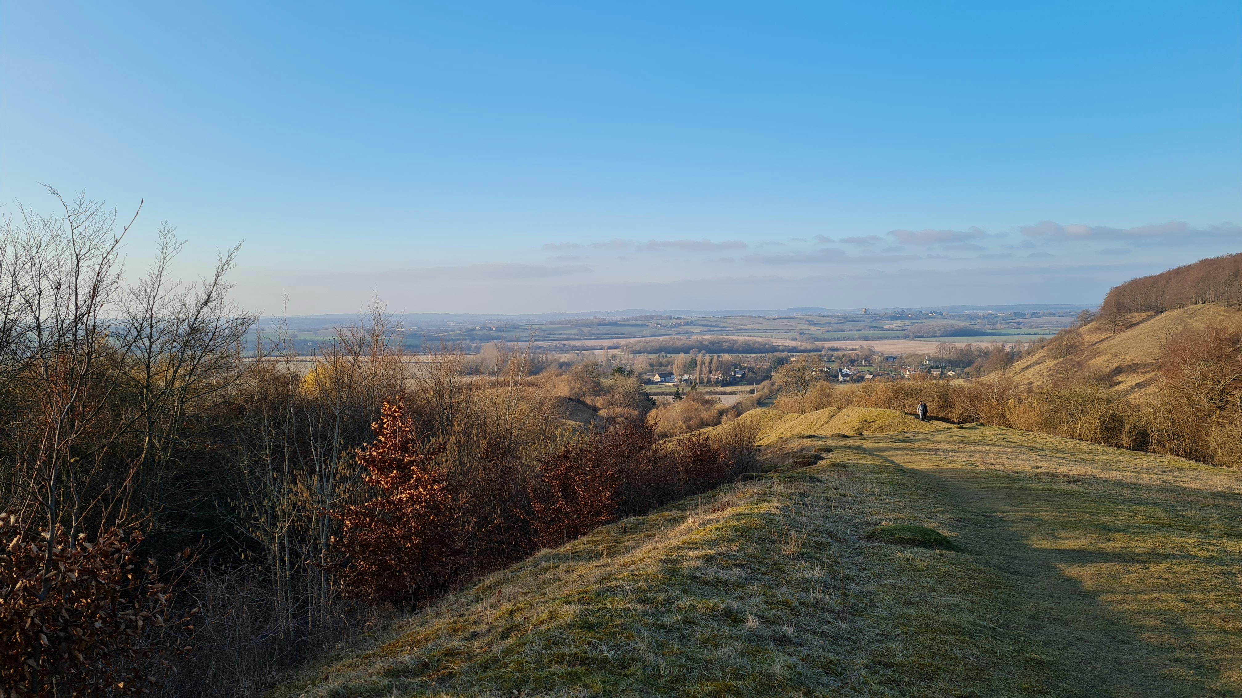 AI interface generating voiceover waveforms