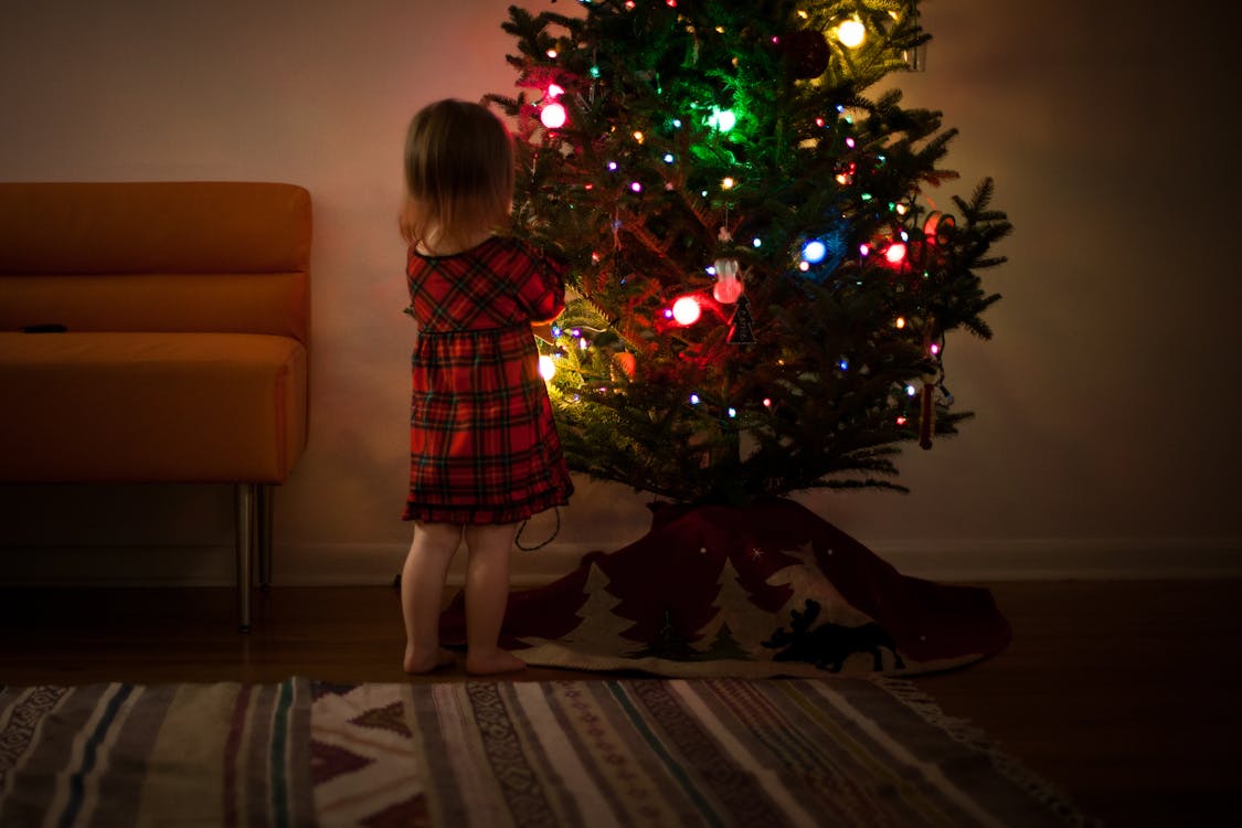 Girl in Red and Black Dress Standing in Front of Christmas Tree Inside Room