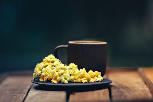 Free Cup and Flowers on Saucer Plate Stock Photo