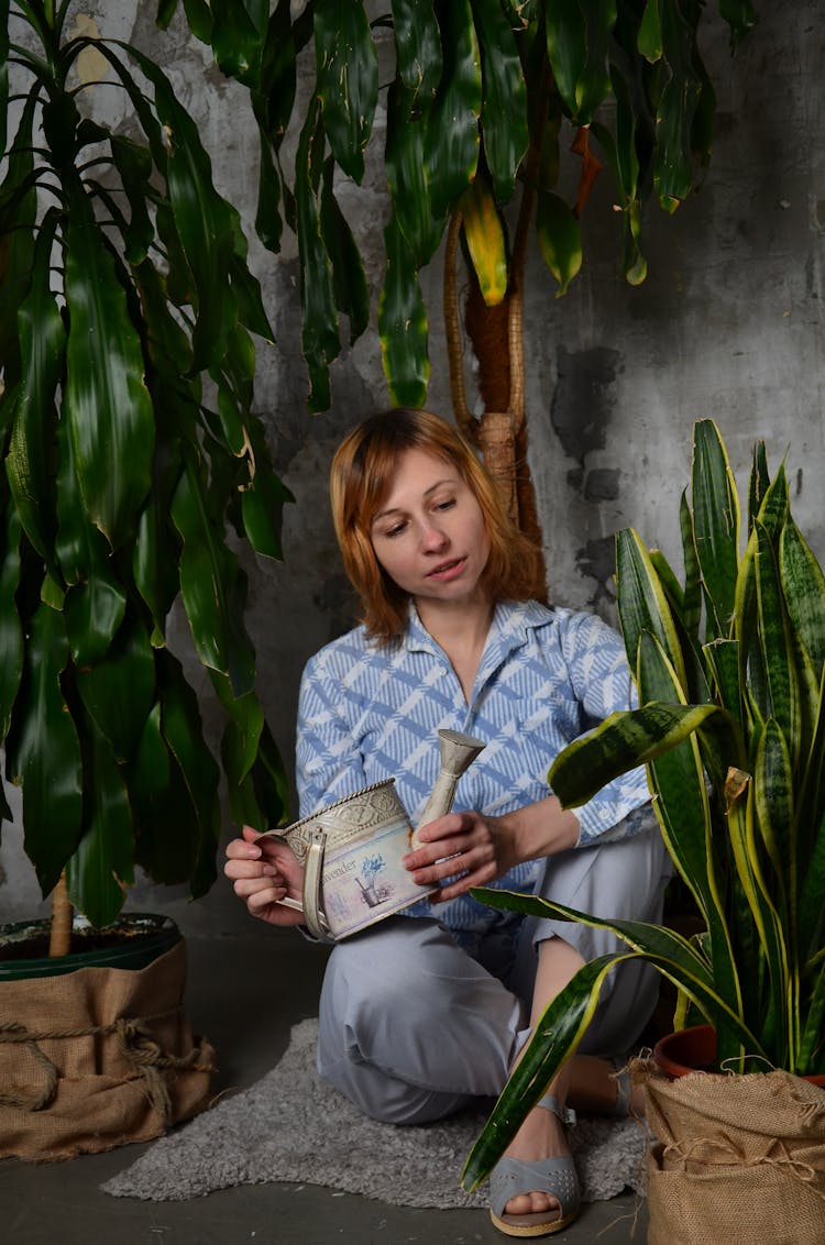 Woman With Watering Can On Carpet Against Snake Plant Indoors