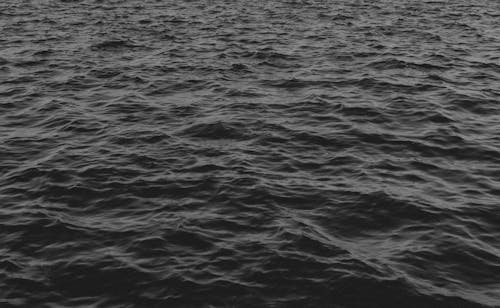 Grayscale Photo of Body of Water