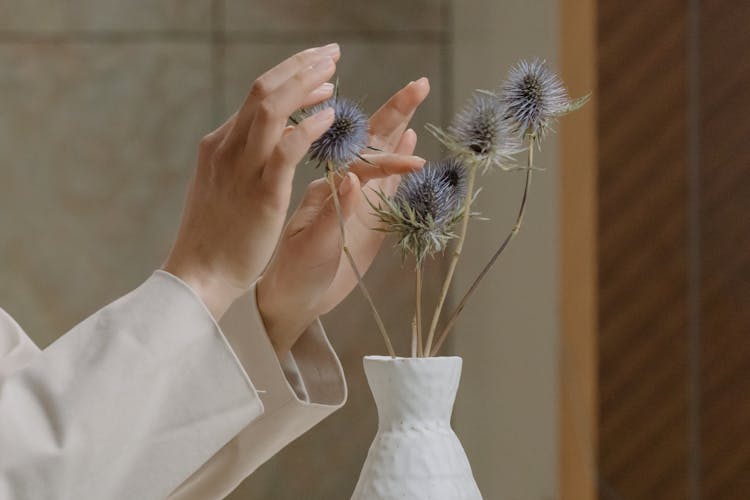 Person Touching Dried Thistle Flowers In A Vase