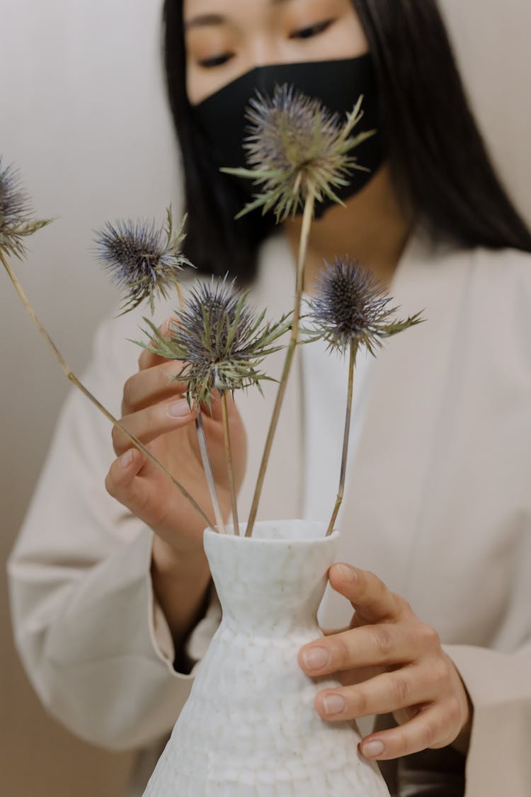 Person Holding Sea Holly Plant