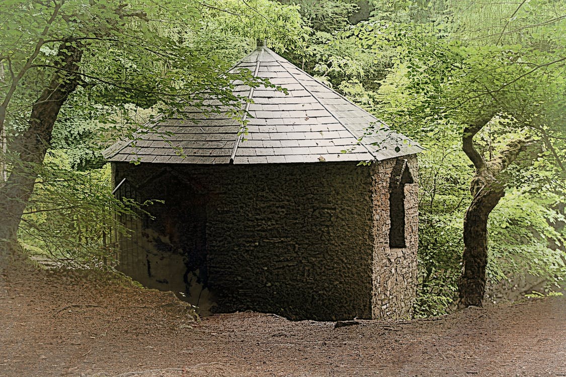 Free stock photo of bothy, woods