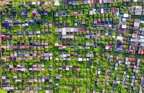 Free Aerial View of a Cemetery Stock Photo