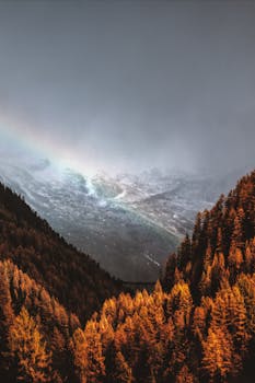 秋季森林的景色令人惊叹，雪山上的彩虹景色同样壮丽