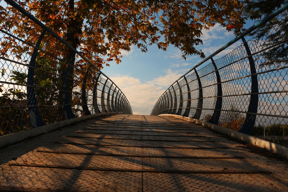 Fotomural Pasarela simétrica con hojas de otoño en İzmit, Turquía, mostrando la estructura metálica y los colores del otoño.