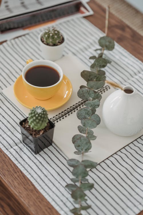 Cup of coffee with potted cactus plants and notepad arranged on table