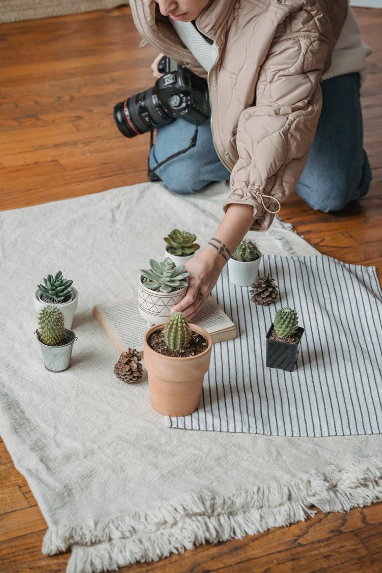 Photo Of A Person Arranging Succulents 