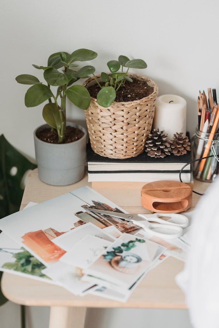 Table With Various Images And Scissors Near Potted Houseplants