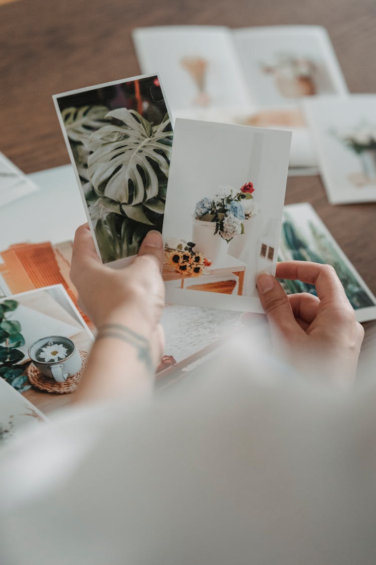 Crop Person Comparing Photos Of Plants At Desk