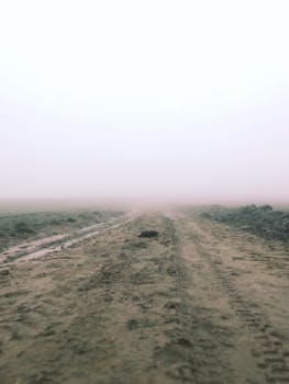 Foggy Road
