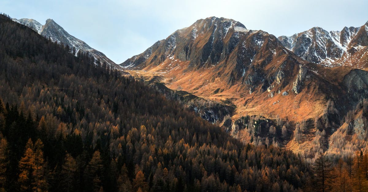 Free stock photo of autumn, HD wallpaper, landscape