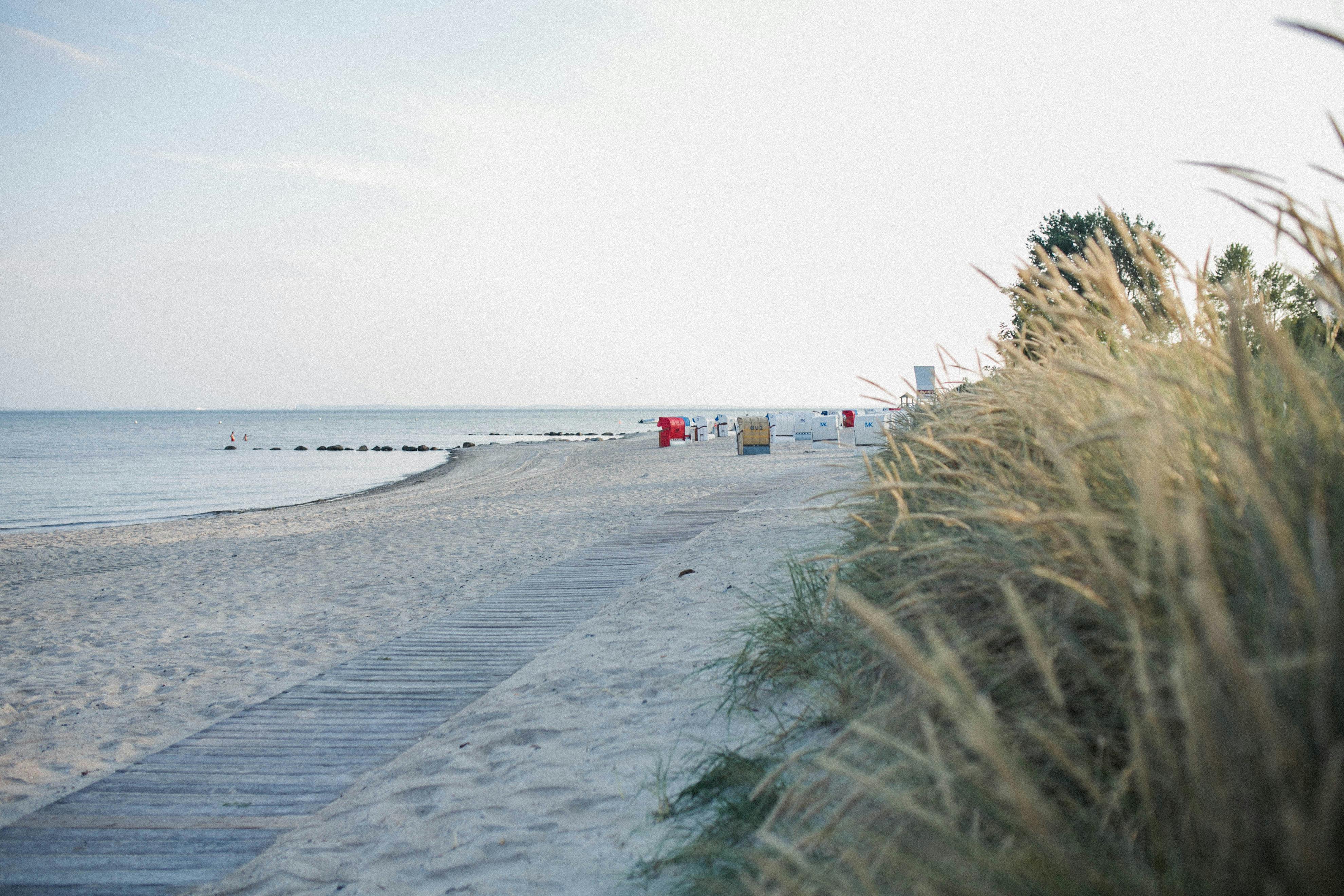 Peaceful beach along the Baltic Sea with a wooden boardwalk and tall grasses.
