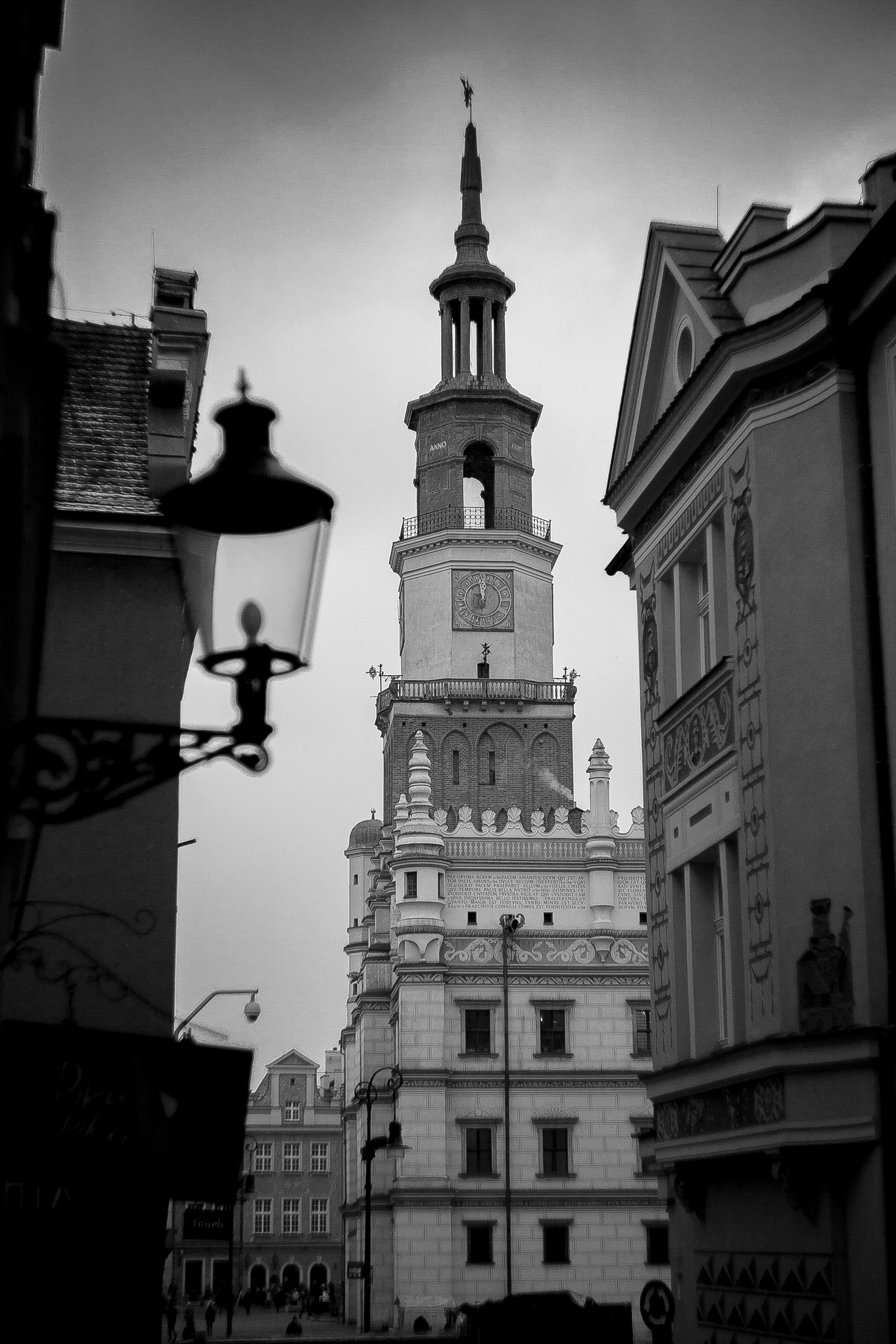 波兹纳瓦拉标志性的市政厅以单色视图展示了哥特式建筑