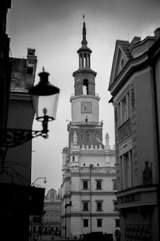 波兹纳瓦拉标志性的市政厅以单色视图展示了哥特式建筑