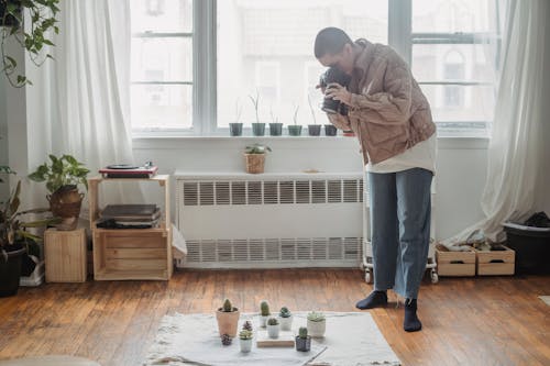Free Full body professional female photographer in casual wear taking pictures on modern photo camera of cacti arranged on floor in light living room Stock Photo