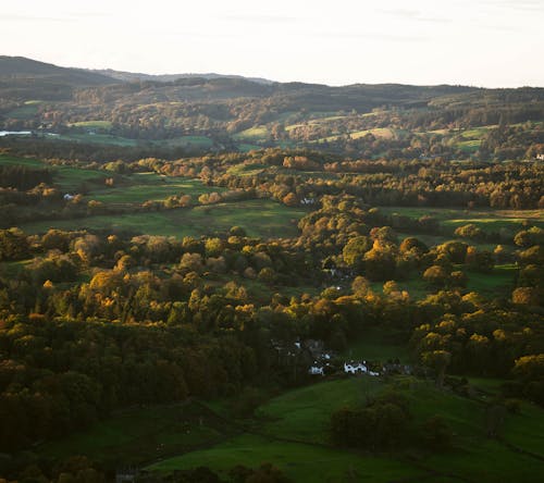 Aerial Photography of Mountains and Trees under the Sky