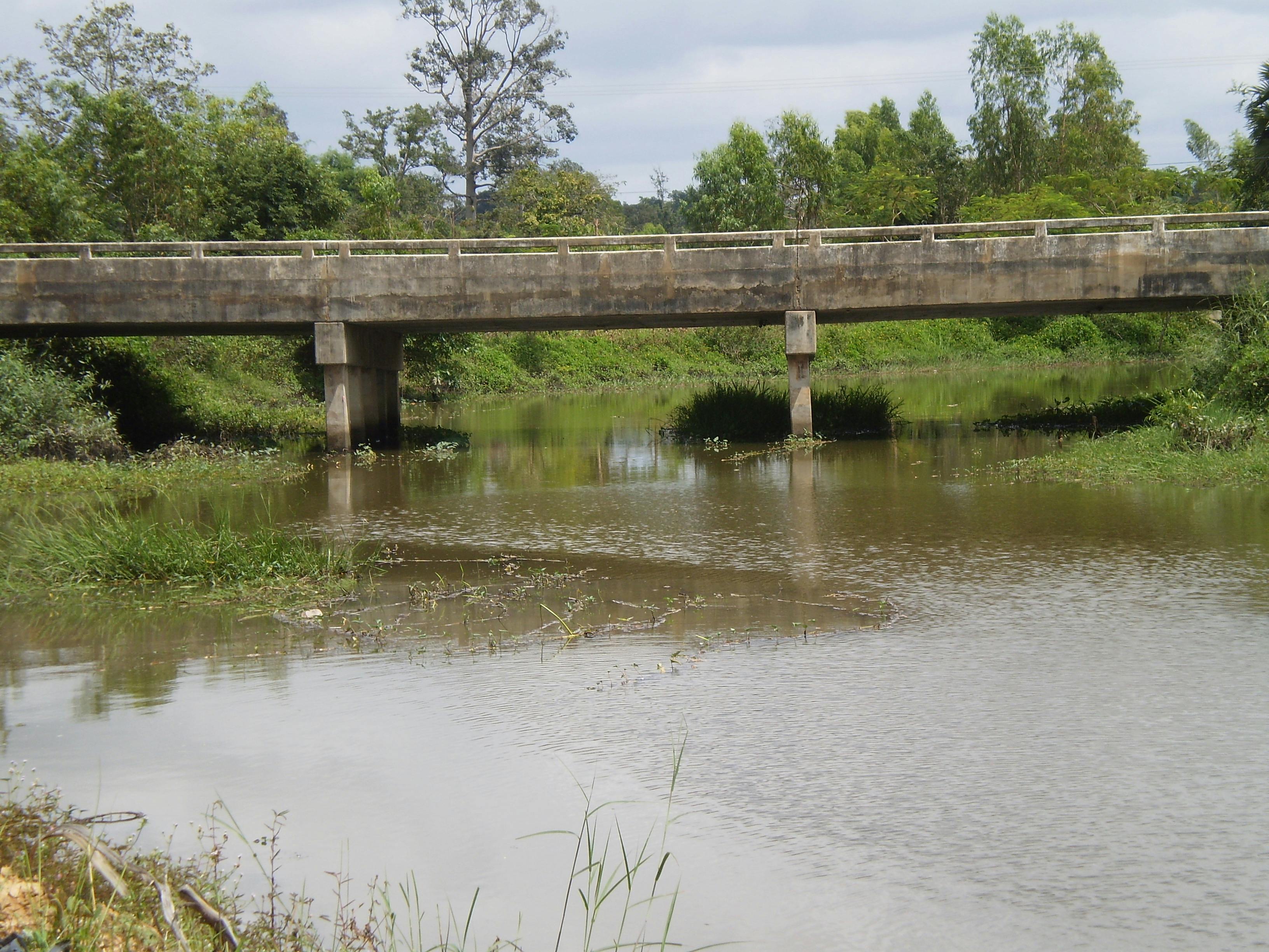 전세 사기 피해 구제 절차