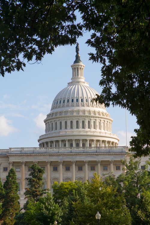 Free A classic view of the US Capitol dome framed by trees in Washington, DC, showcasing its historic architecture. Stock Photo