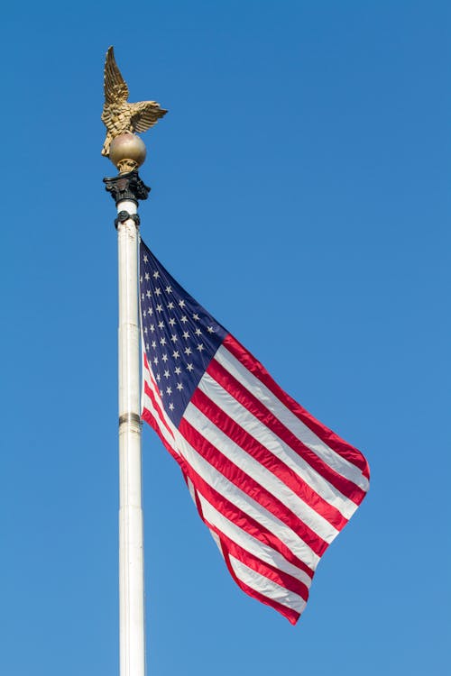 คลังภาพถ่ายฟรี ของ ธง, ธงสหรัฐอเมริกา, ยิงแนวตั้ง