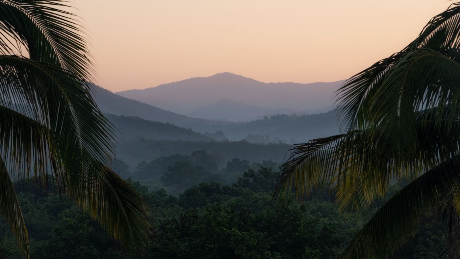 Green tropical trees growing on hills in sundown, Sierra Leone