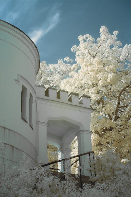 Low angle of old building with white walls and columns under white branches of tree against blue cloudless sky