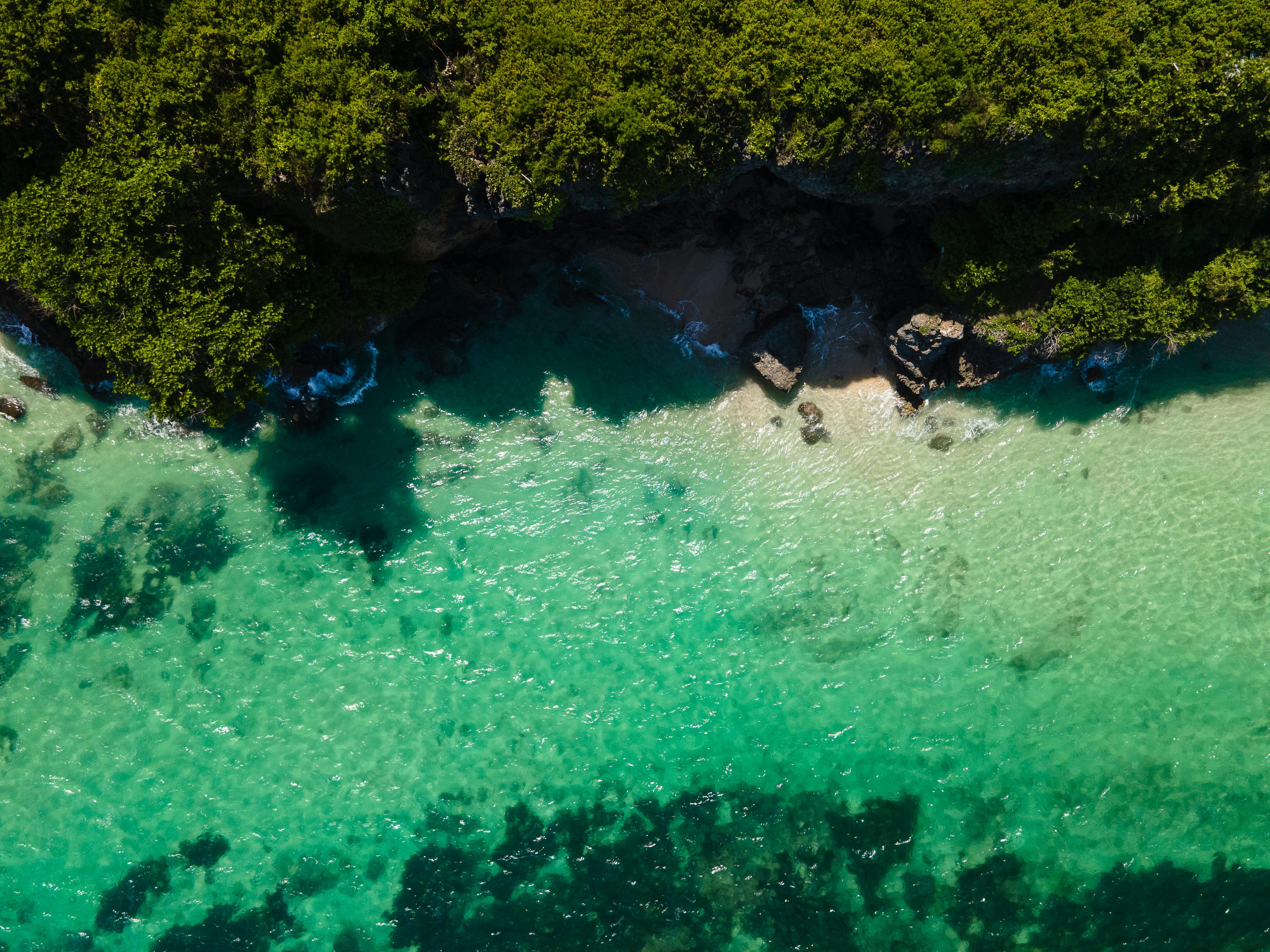 令人惊叹的鸟瞰图展示了僻静的热带海滩，周围环绕着清澈的碧绿海水和郁郁葱葱的绿色植物
