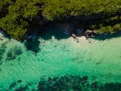 令人惊叹的鸟瞰图展示了僻静的热带海滩，周围环绕着清澈的碧绿海水和郁郁葱葱的绿色植物