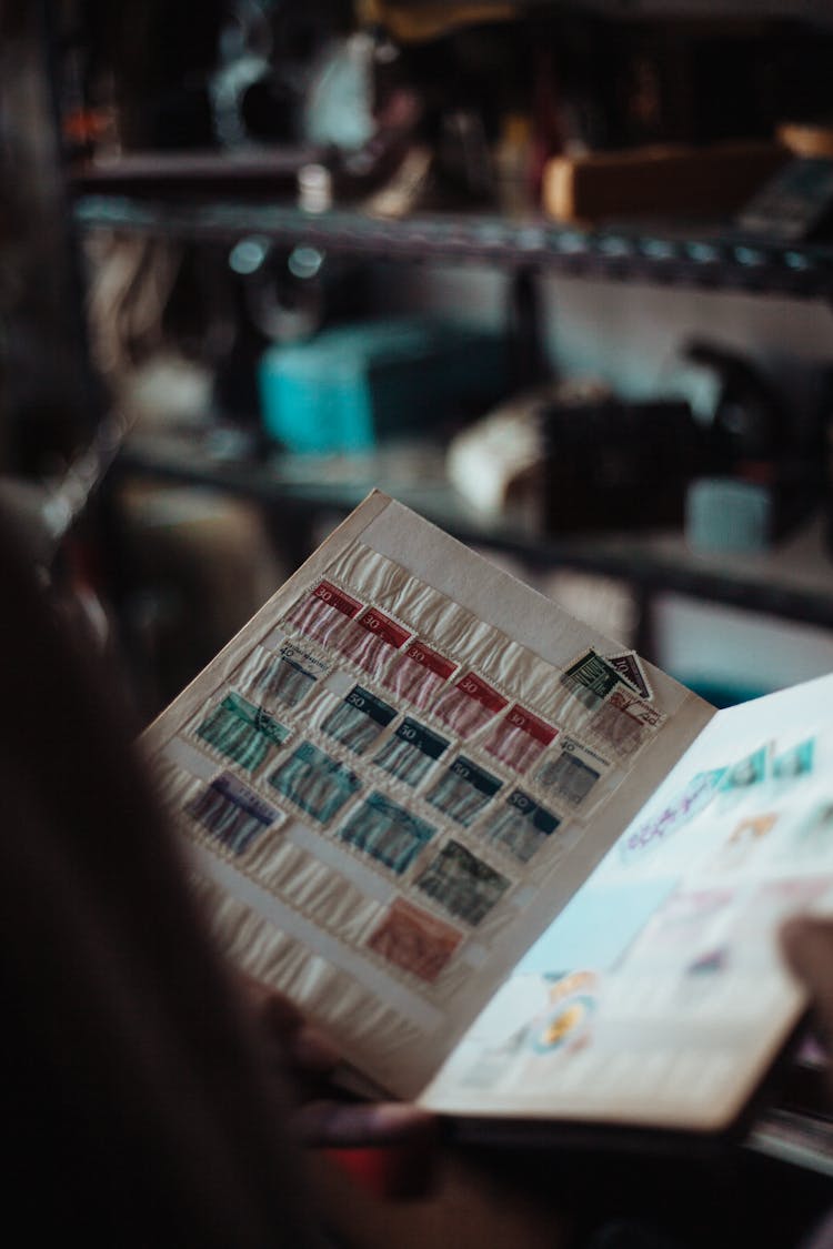 Person Holding Album With Vintage Postage Stamps