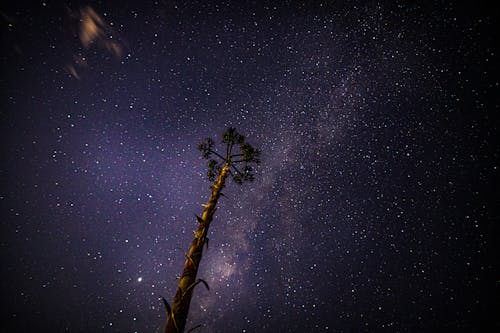 Free stock photo of bright sky, milky way, night