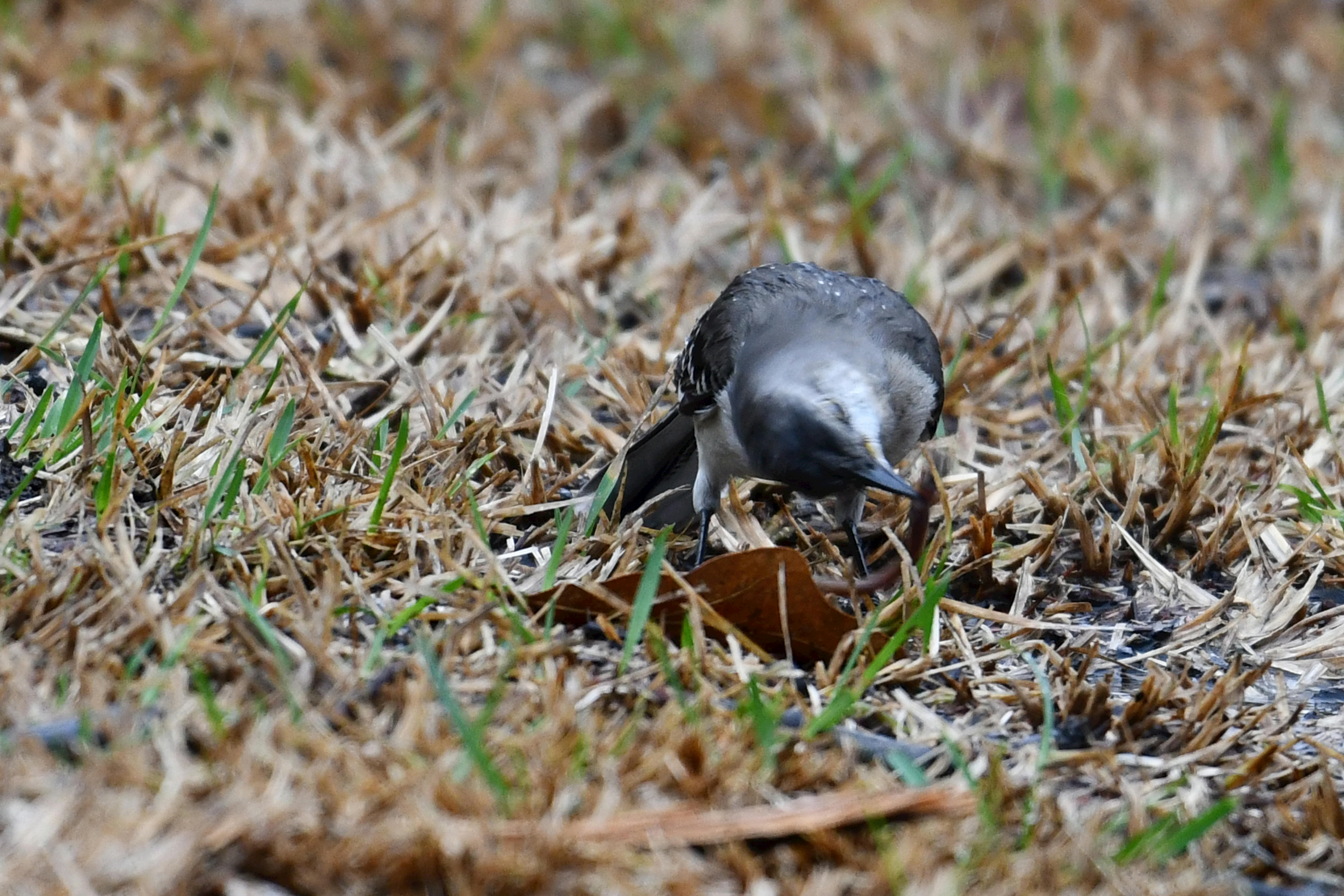 Paquet Accessoire Alu 2