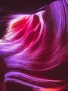 Pink Neon Lights