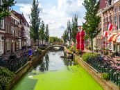 Polluted Canal in City