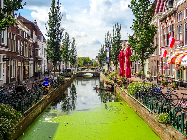 Polluted Canal In City