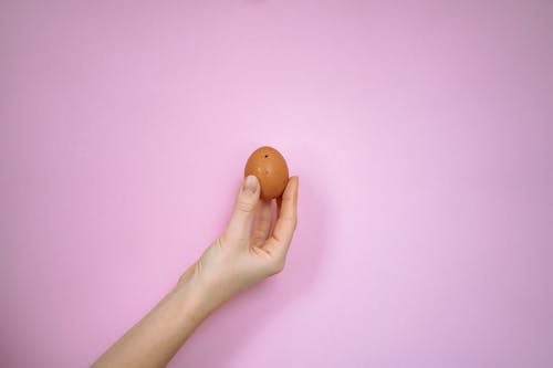 Kostnadsfri bild av ägg, håller, hand