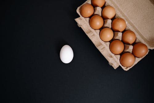Gratis stockfoto met eieren, eierrekje, Pasen