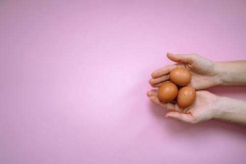 Darmowe zdjęcie z galerii z jajka, jajko wielkanocne, ręce