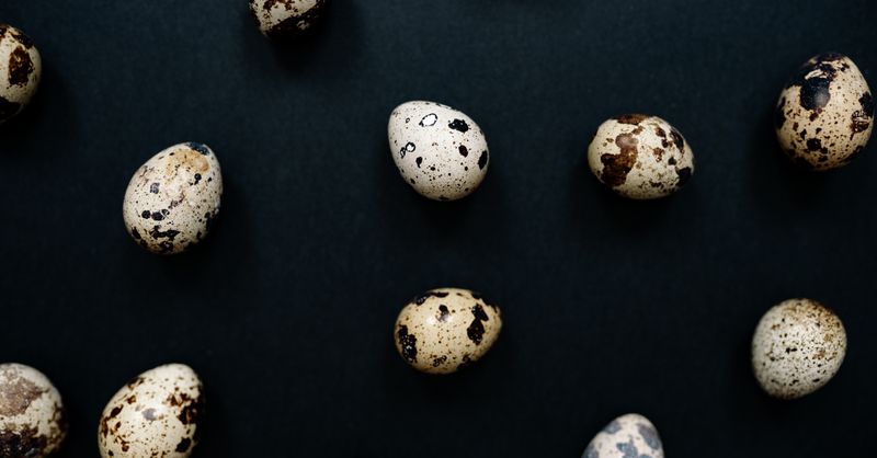 Oeuf Fabergé : Histoire et Musées à Visiter