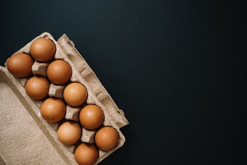 Gratis stockfoto met detailopname, eieren, eierrekje