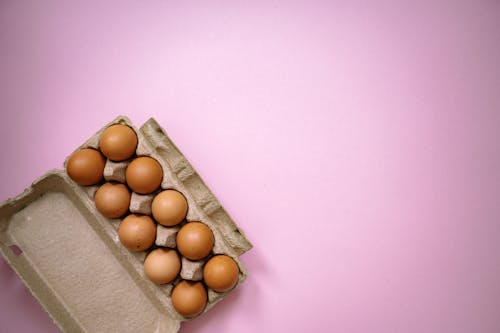 Gratis stockfoto met detailopname, eieren, eierrekje