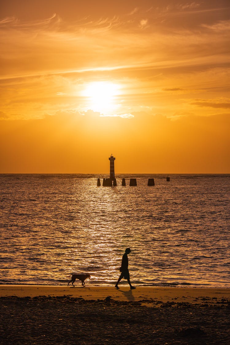 Silhouette Of A Person And A Dog Walking On The Shore During Sunset