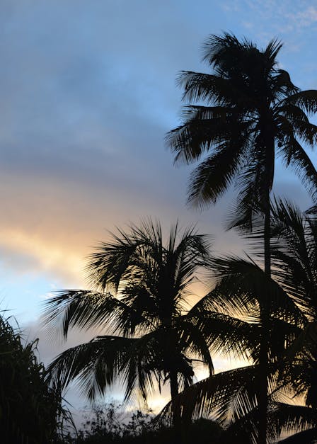 Free stock photo of caribbean, sky, sunset