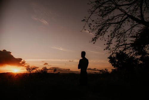 Free Silhouette of man admiring sunset in nature Stock Photo