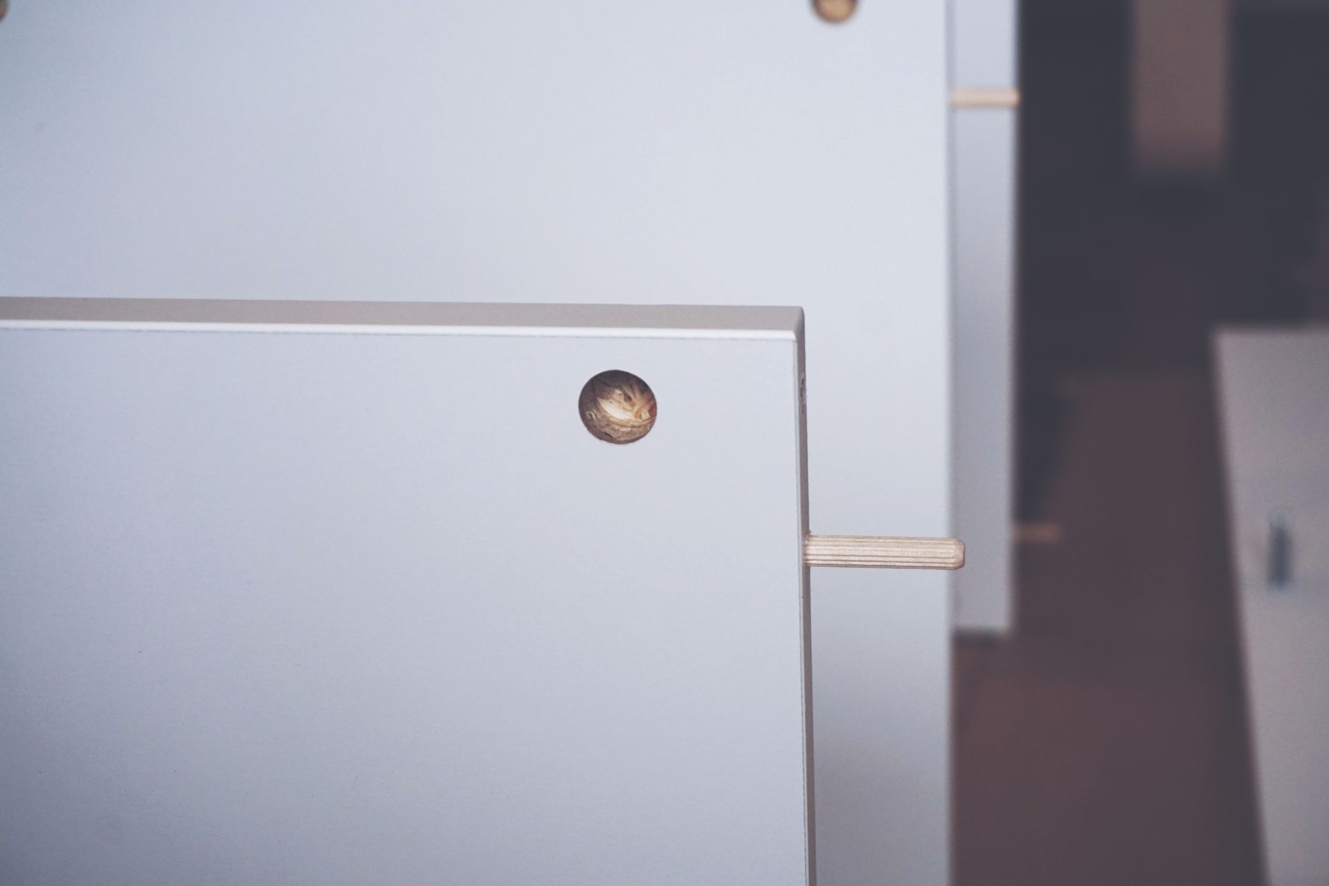 Macro shot of wooden board with dowel pin for furniture assembly.