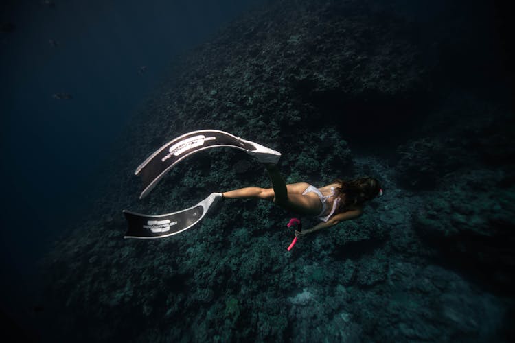 Woman Snorkeling Near Coral Reef In Sea