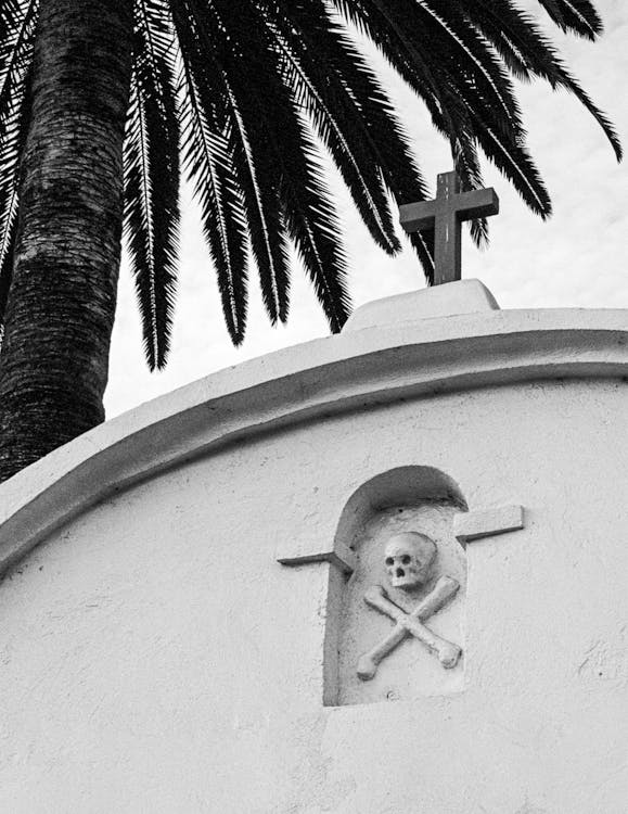 Monochrome Photo of a Cross Under a Palm Tree