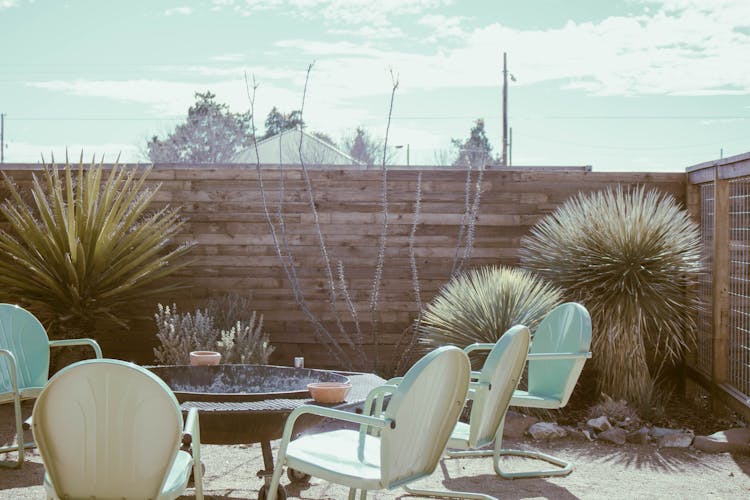 Photograph Of A Backyard With Plants And Chairs