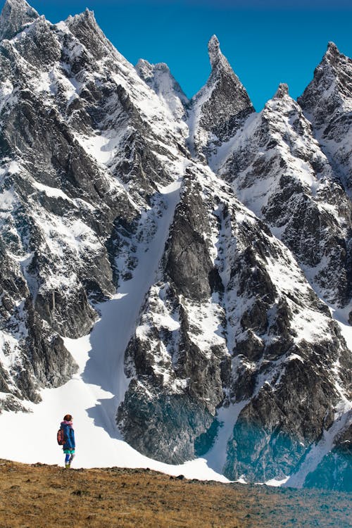 A Person Standing on the Green Grass Near th Snow Covered Mountain